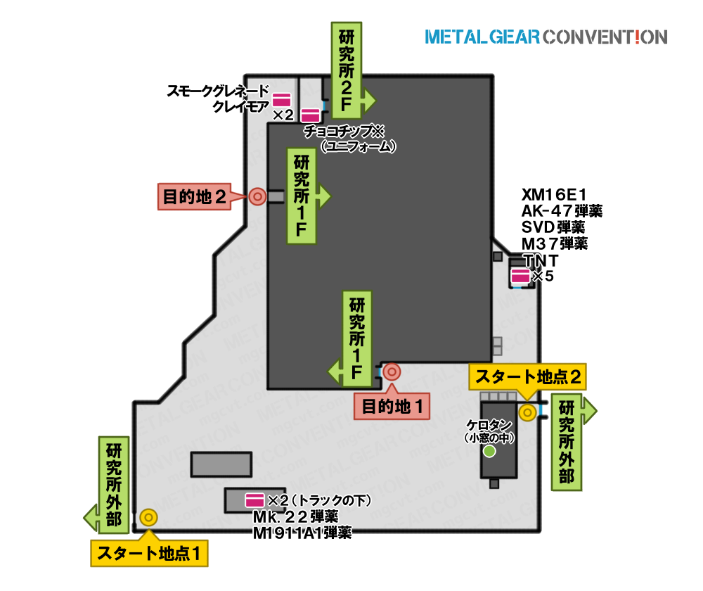 グラーニニ・ゴルキー研究所外庭